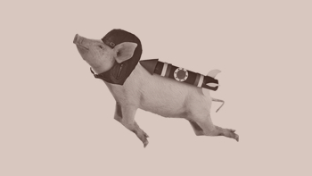 The Flying Pig